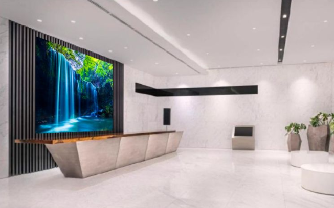 Immersive display environment